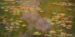 Water Lilies